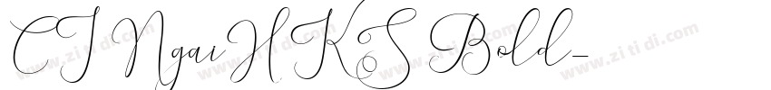 CJNgaiHKS Bold字体转换
